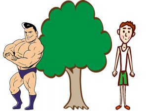 muscle-tree